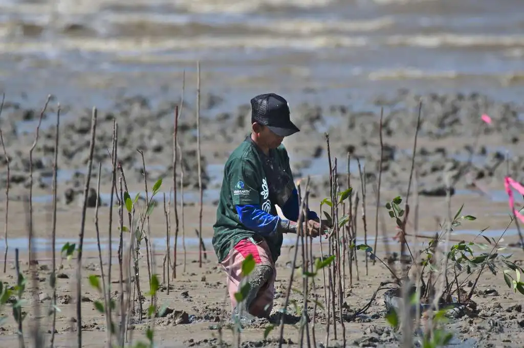 Gal-project-Protecting-lowland-peat-forest-in-Indonesia-11